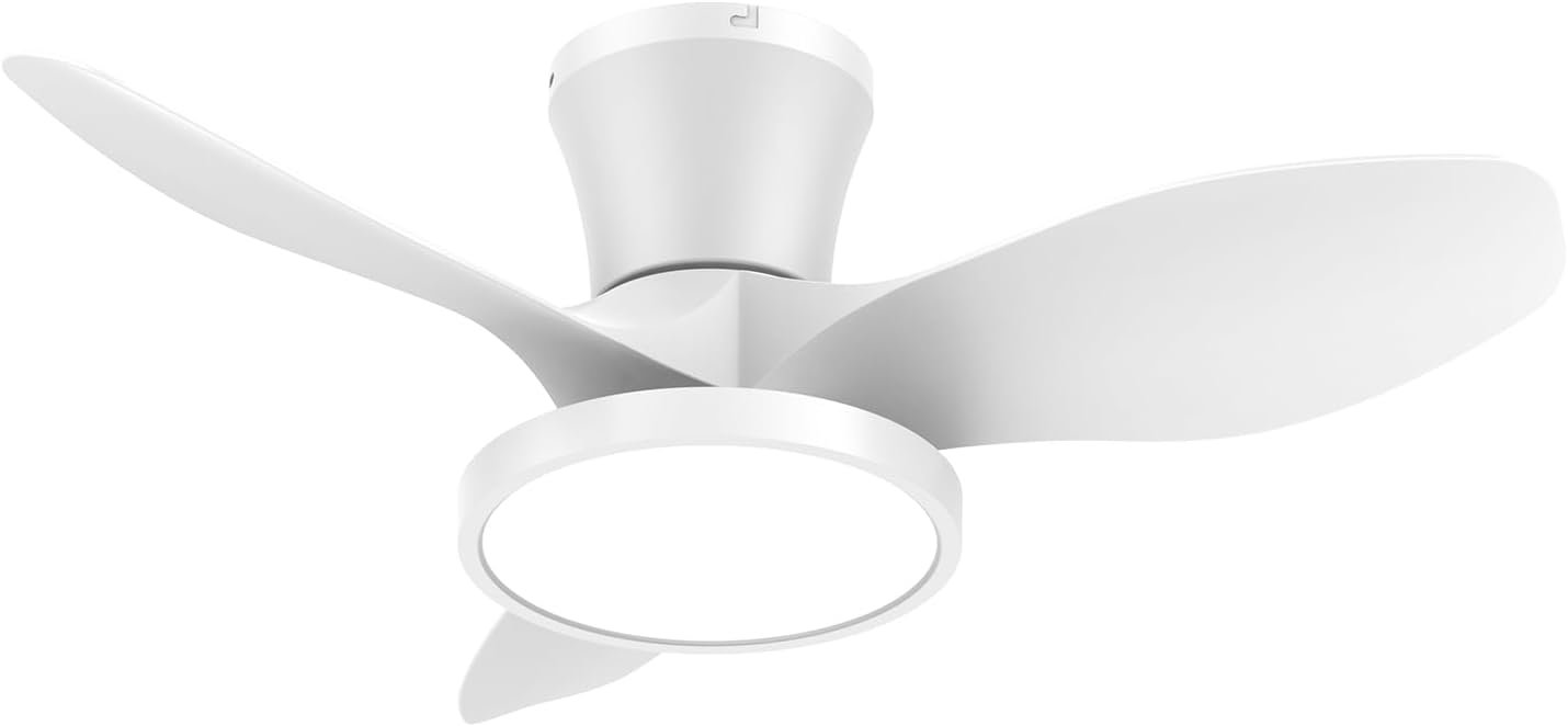 Ocioc Ceiling Fan