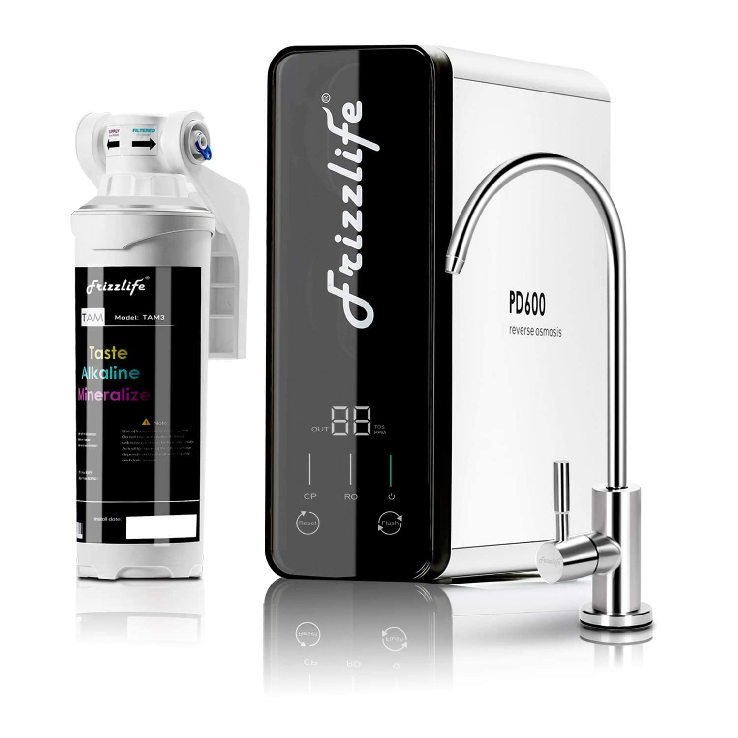 Frizzlife RO System