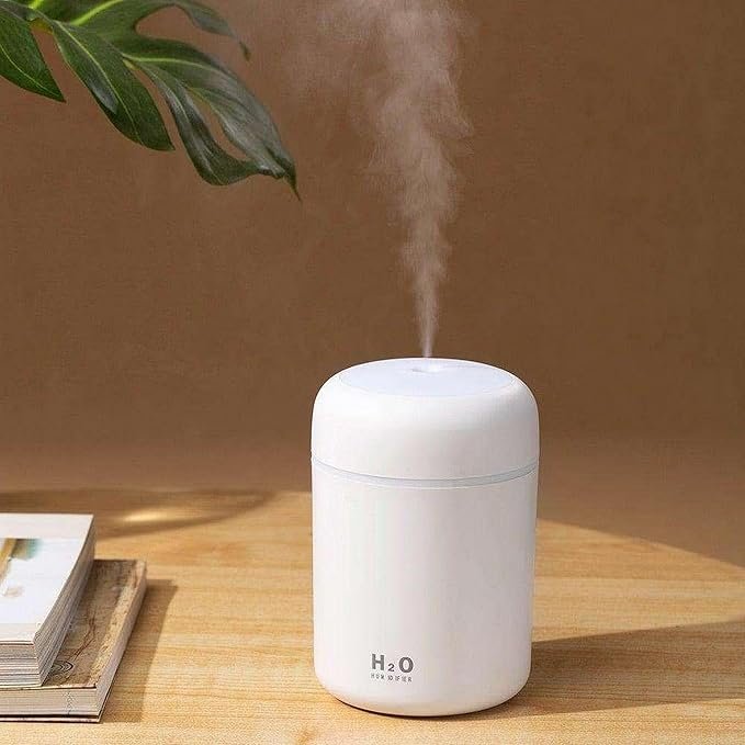 300ml Colorful Humidifier