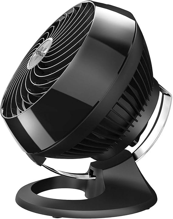 Vornado fan