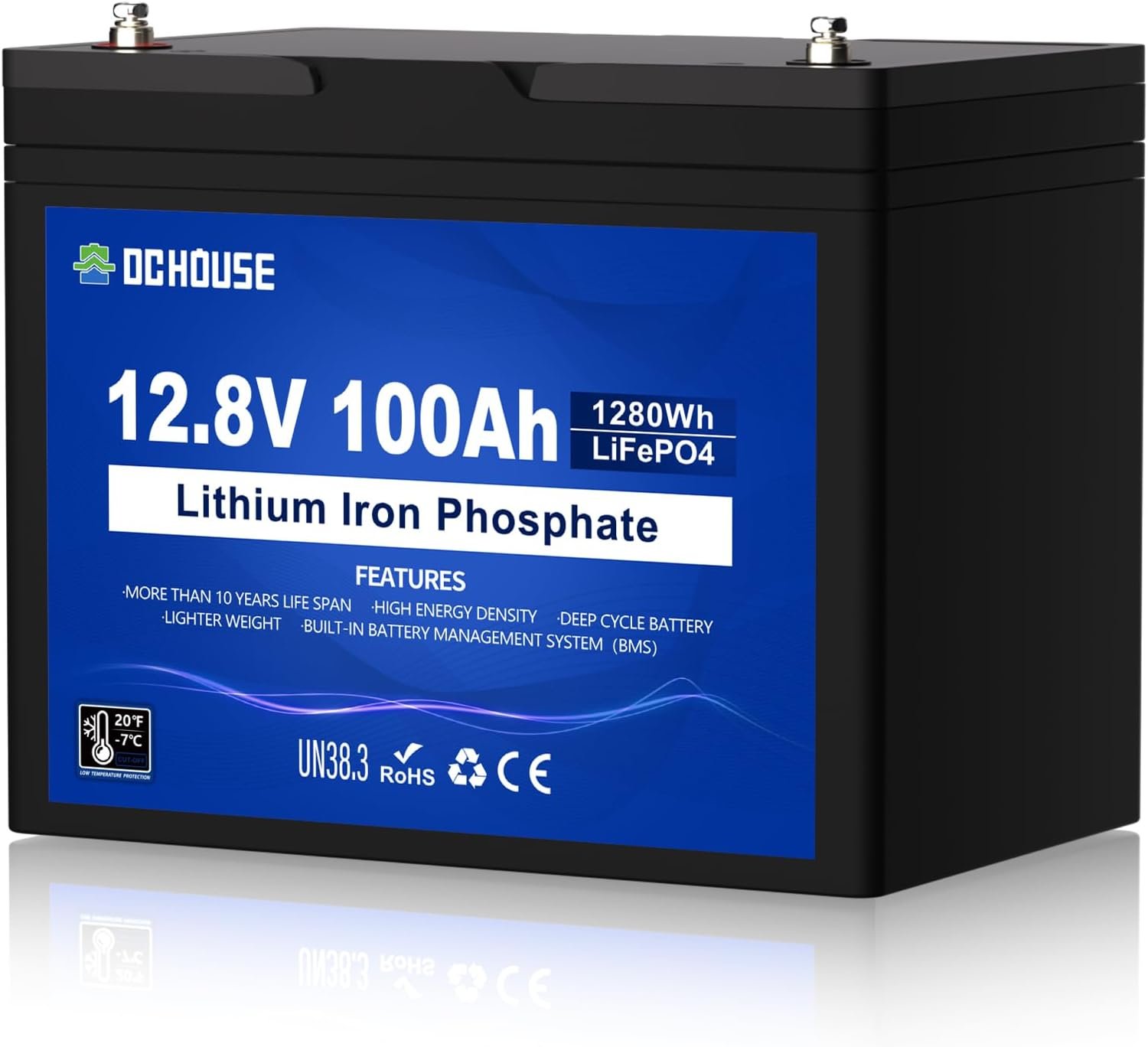 DC HOUSE 12V 100AH LiFePO4 Battery