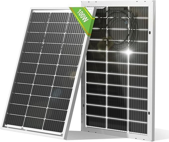 ECO-WORTHY Bifacial 100 Watt